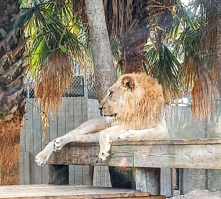 Naples Zoo at Caribbean Gardens (Naples,&nbspFL)